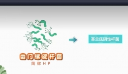 【健康科普在湖一】守”胃“健康，無(wú)”幽”無(wú)慮